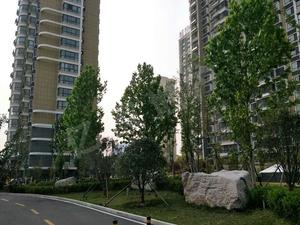 福祉苑（济宁）小区图片