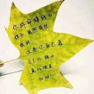 张丽群