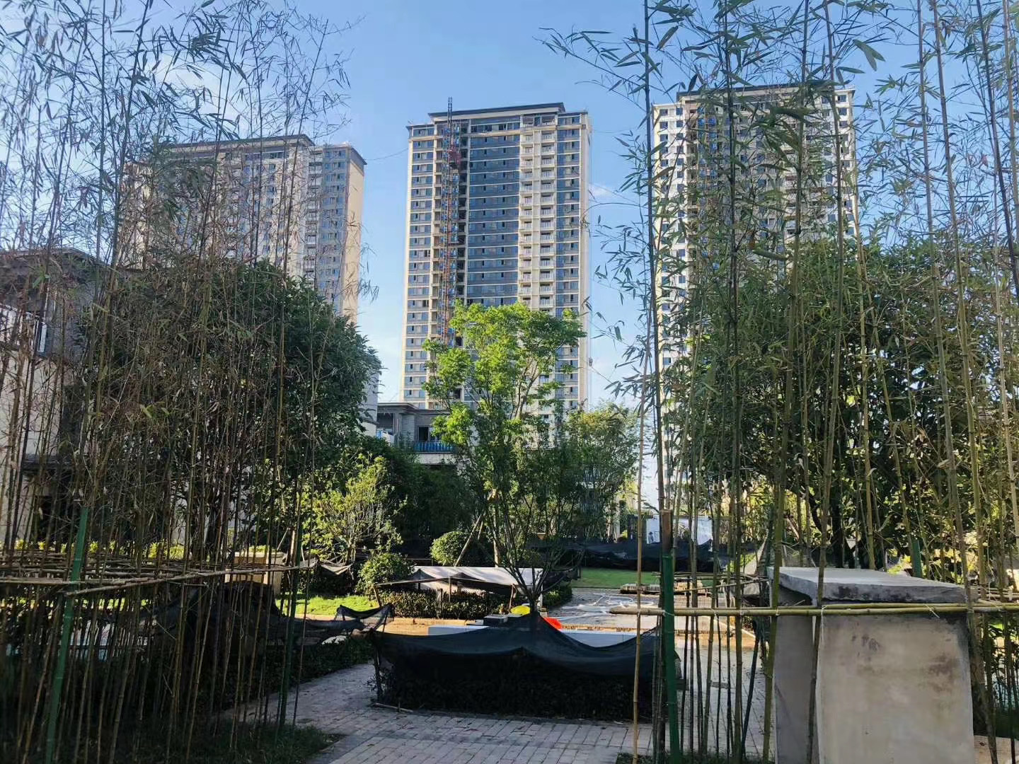 合景梧桐四季
