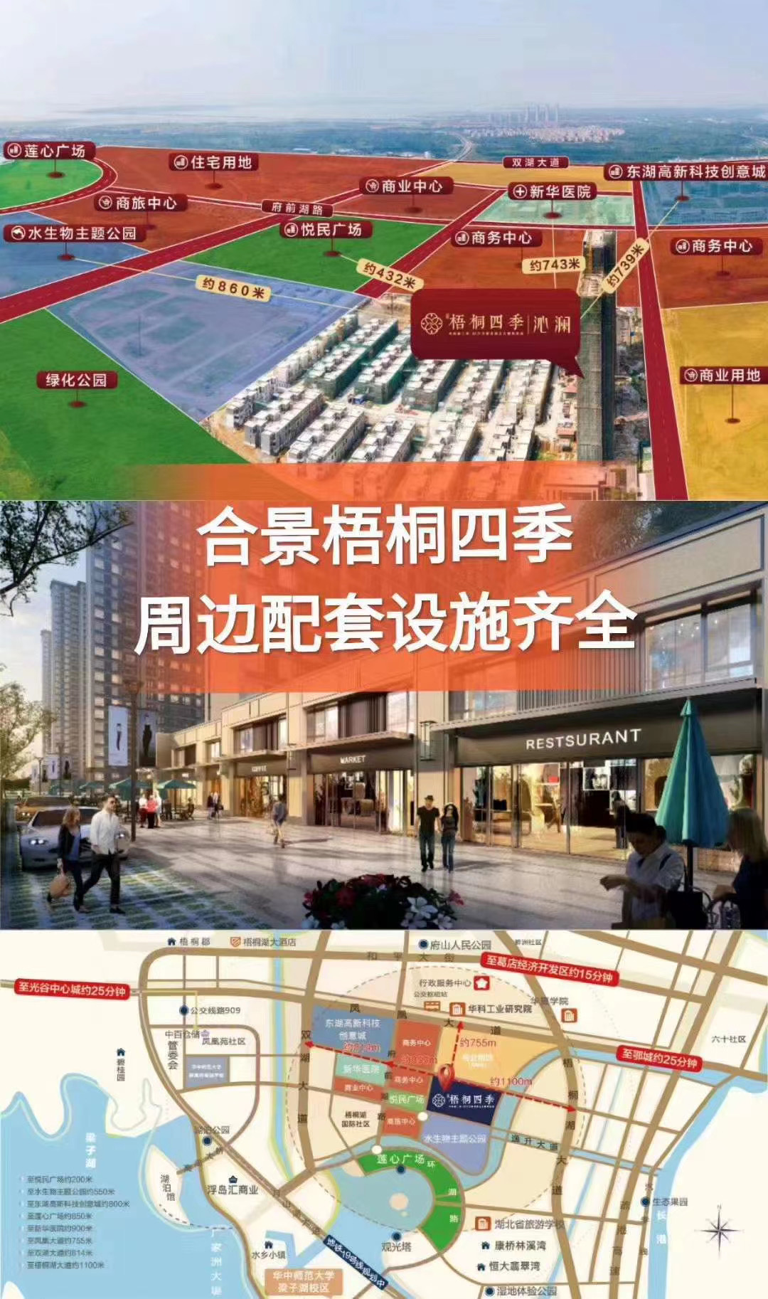 合景梧桐四季