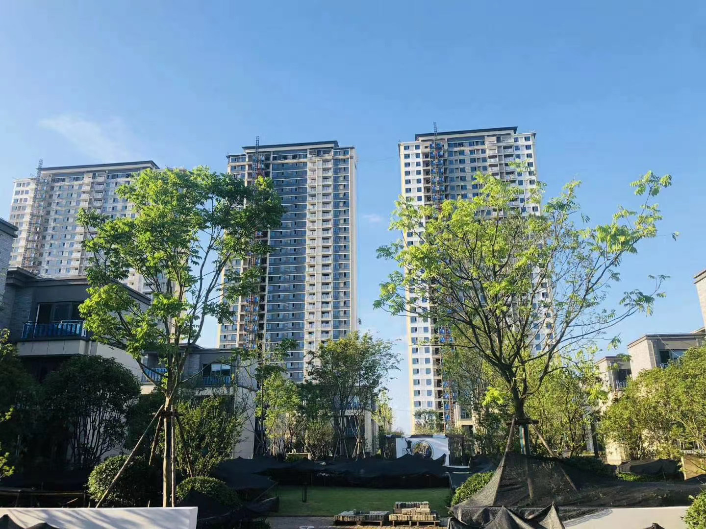 合景梧桐四季