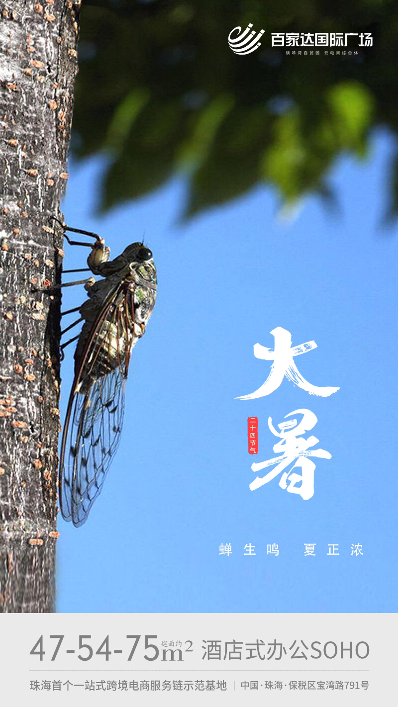 百家达国际广场