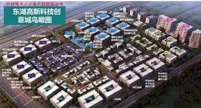 合景梧桐四季