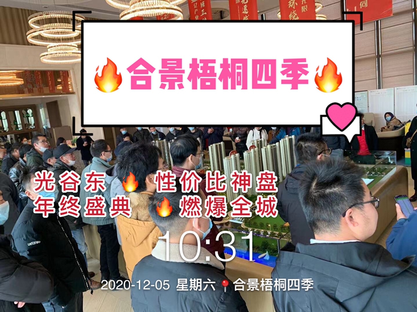 合景梧桐四季