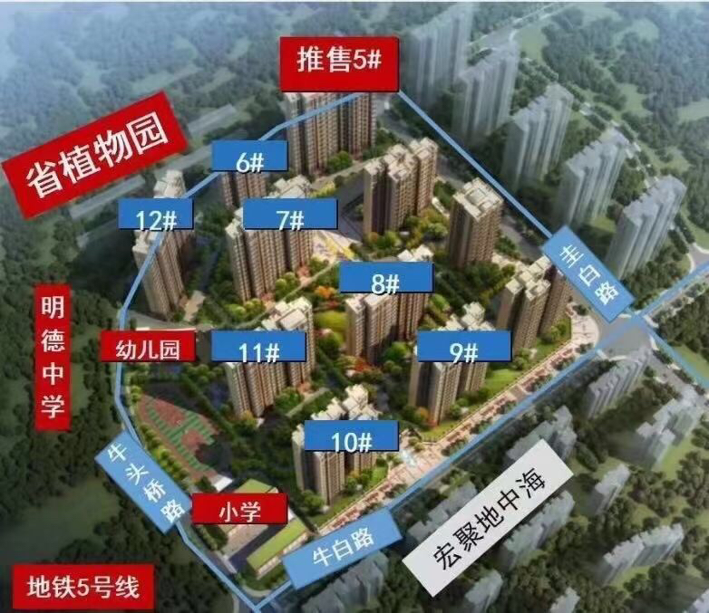 大唐印象